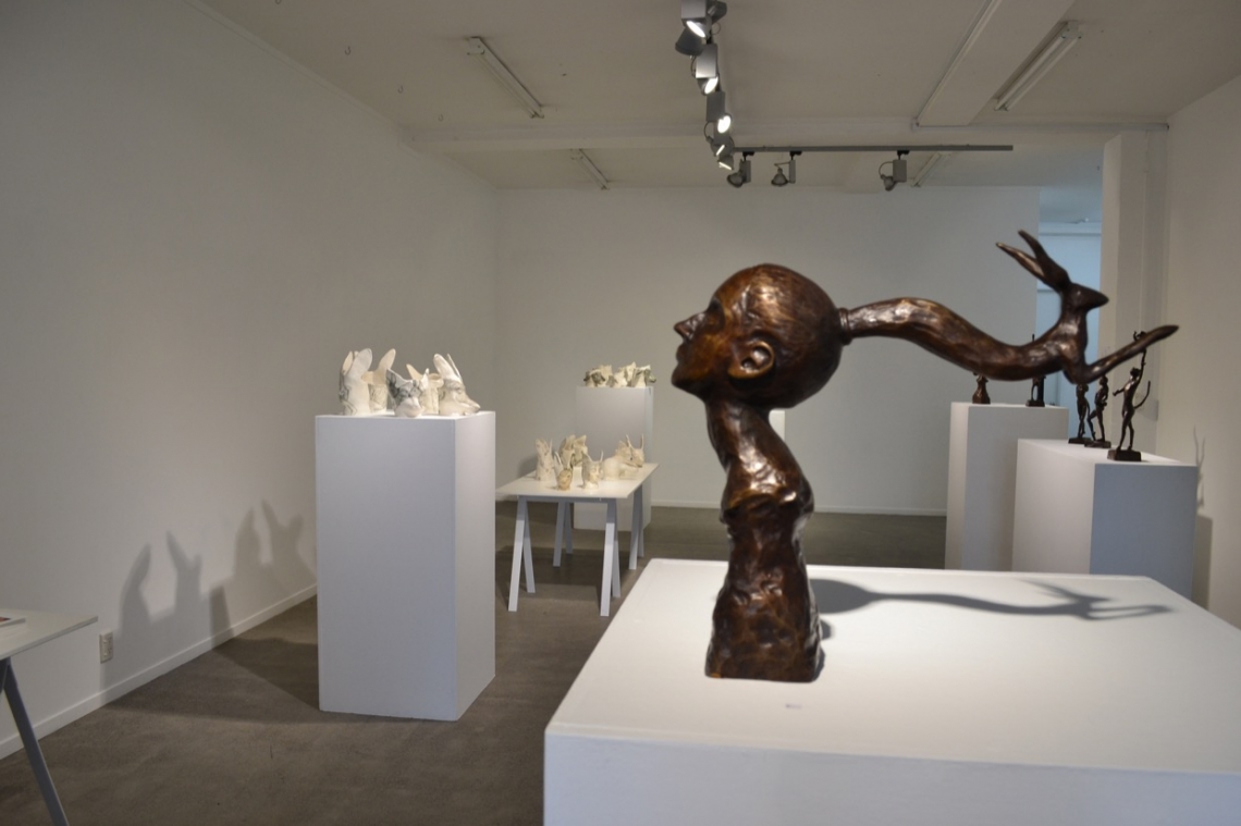 Twinny Opening at White Space Gallery Auckland